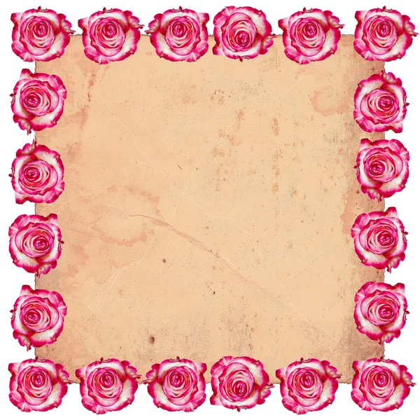 Rám z růží — Stock fotografie
