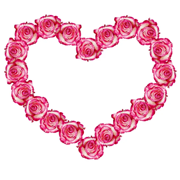Heart shaped rose frame — Stock Photo, Image