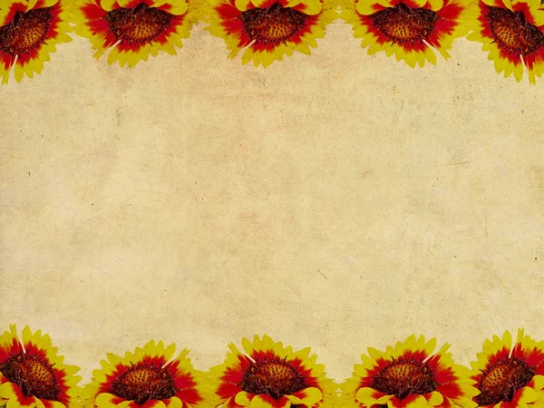 Flowers frame on grunge background — Stock Photo, Image