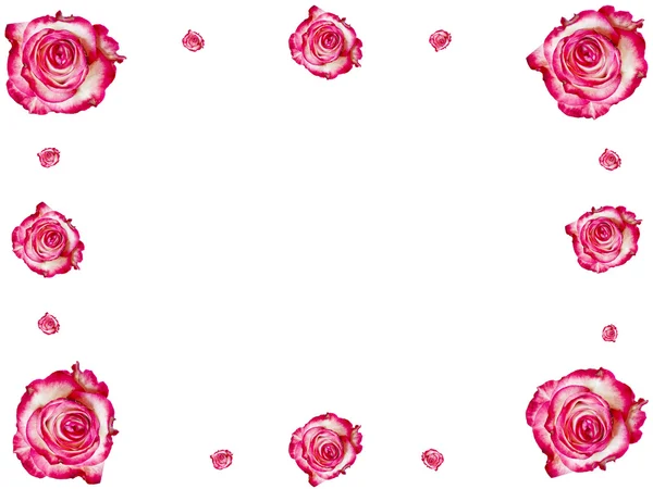 Рамка из роз — стоковое фото