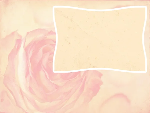 Delicate rose on grunge background — Stock Photo, Image