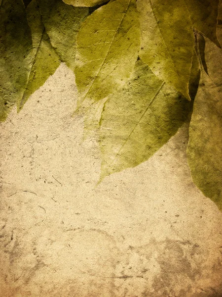 Grunge leaves — Stock Photo, Image