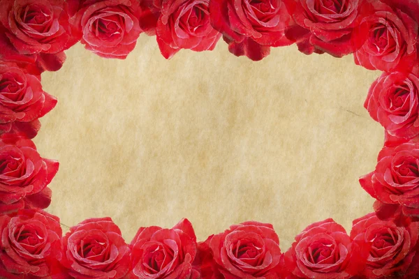 Рамка Розы — стоковое фото