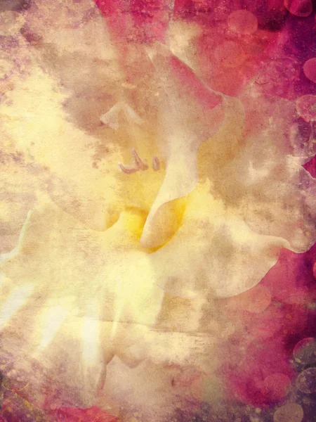 抽象的な花の背景 — ストック写真