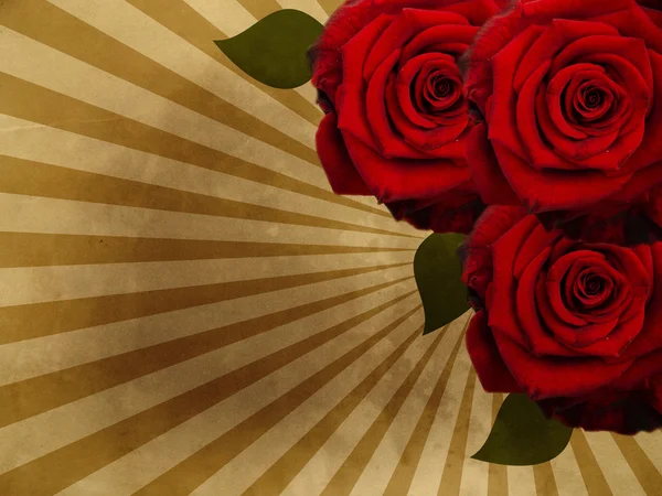 Grunge sfondo con rose — Foto Stock