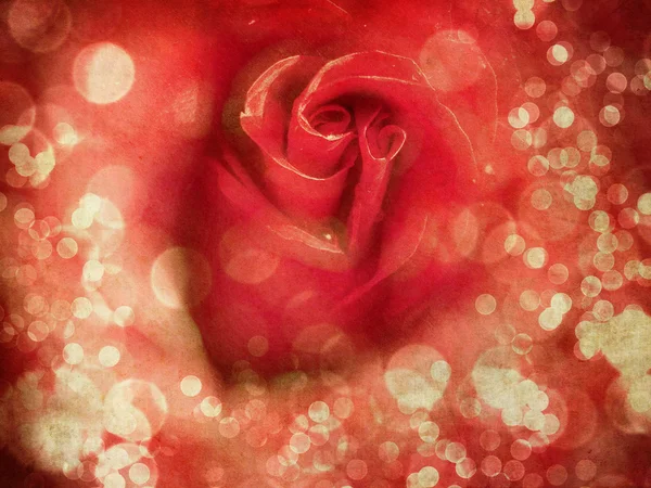 Grunge Rose background — Stock Photo, Image