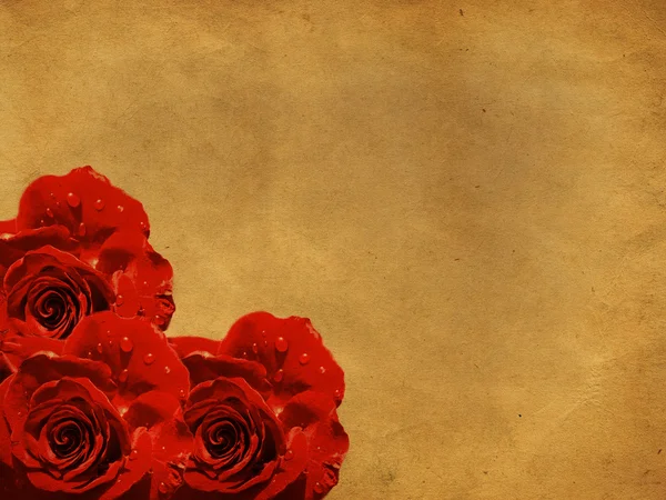 Grunge achtergrond met rozen — Stockfoto