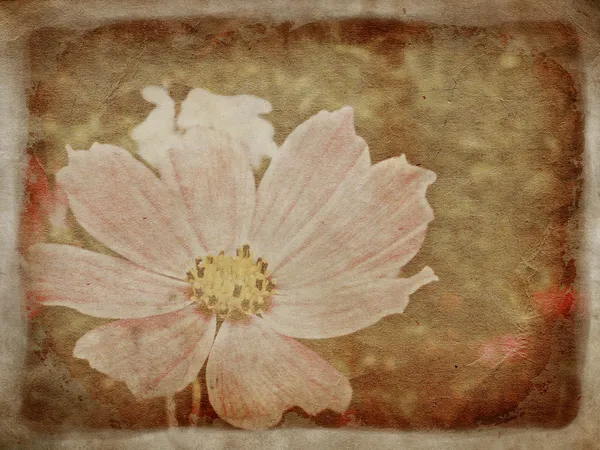Grunge blomma — Stockfoto