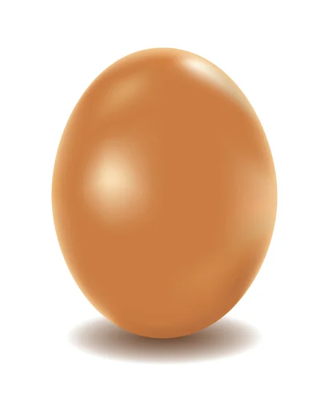 Huevo de pollo — Archivo Imágenes Vectoriales