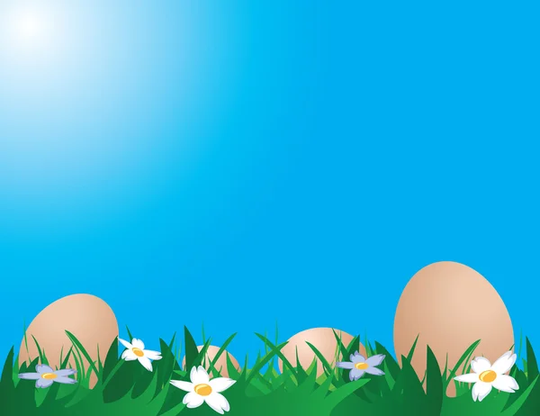 鸡蛋在草地上 — 图库矢量图片