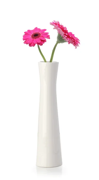Розовая гербера в белой вазе — стоковое фото