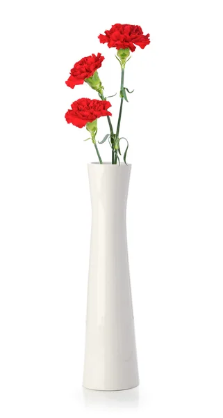 Drie carnation bloemen in witte vaas — Stockfoto