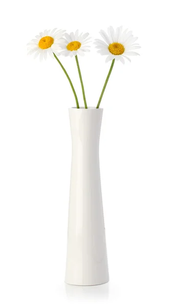 Trzy kwiaty daisy w biały wazon — Zdjęcie stockowe