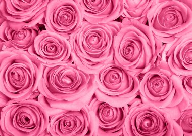Картина, постер, плакат, фотообои "розовые розы цветы орхидеи сирень ван гог", артикул 8123021