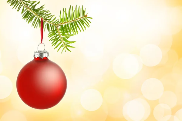 Red christmas bauble on branch — Stock Photo, Image