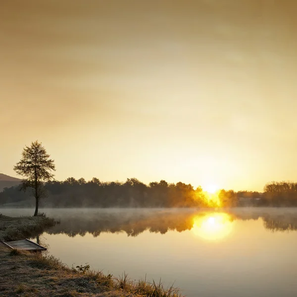 Sabah erken sisli göl — Stok fotoğraf
