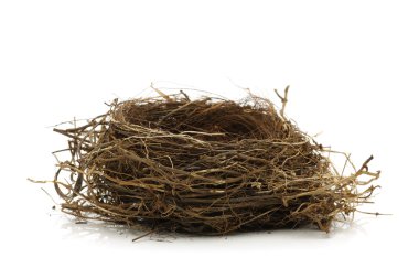 Empty bird nest clipart