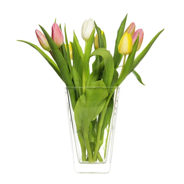 Tulipes en vase — Photo