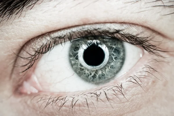 Occhio blu — Foto Stock