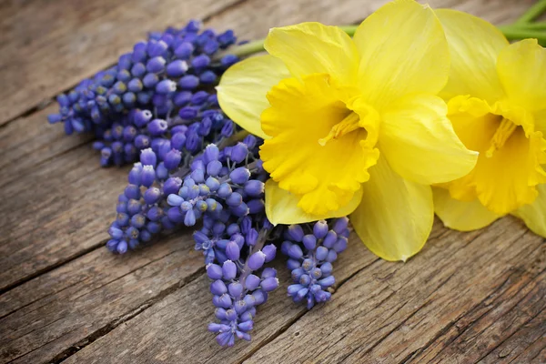 Bouguet primavera de flores de muscari e narciso — Fotografia de Stock