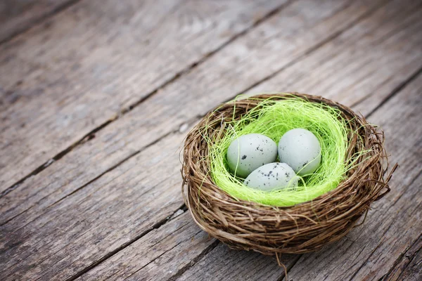 Três pequenos ovos no ninho de pássaros — Fotografia de Stock