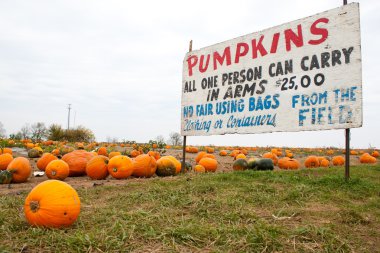 Pumpkin Patch Sign clipart