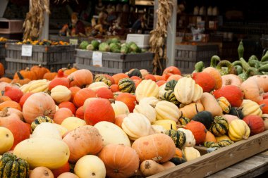 Pumpkins Gourds Farmers Market clipart