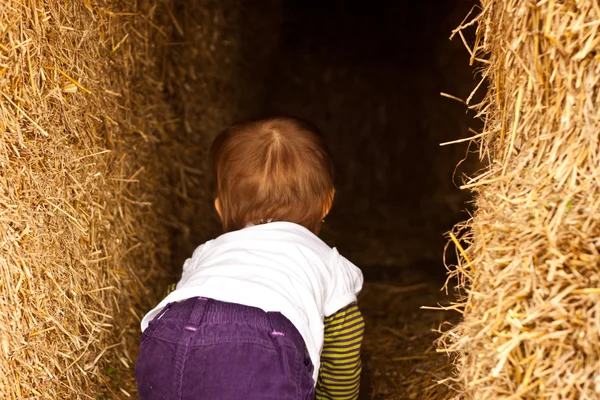 Criança rastejando Hay — Fotografia de Stock