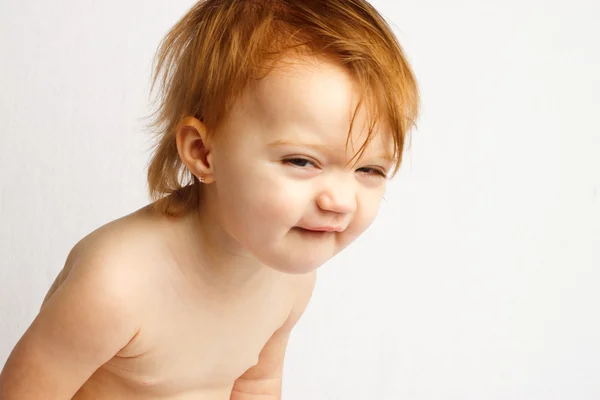 아이 구 피 흰색 배경 — 스톡 사진