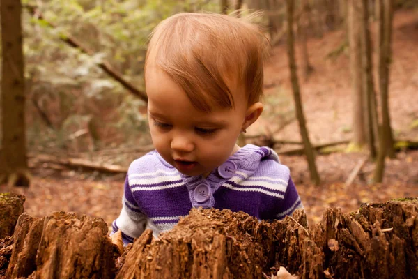 Çocuk ormanda keşfetmek — Stok fotoğraf