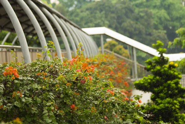 stock image Singapore overpass