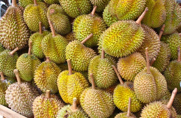 Buah Durian — Stok Foto