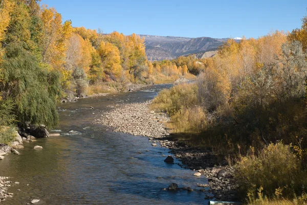 North Fork of the Gunnison — Stock Photo, Image