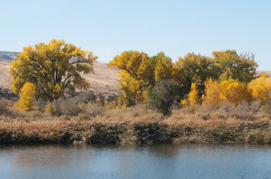 fruita colorado Nehri kıyısında