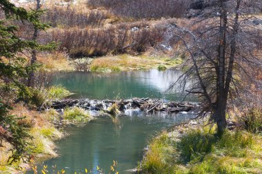 Beaver Dam near Mesa Lakes clipart