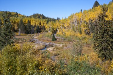 mesa göller, colorado, sonbahar