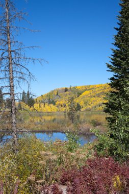 Autumn at Mesa Lakes clipart