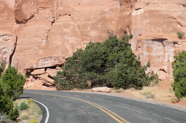 Road near Saddlehorn in Colorado Ntl. Monument — Stock Photo, Image