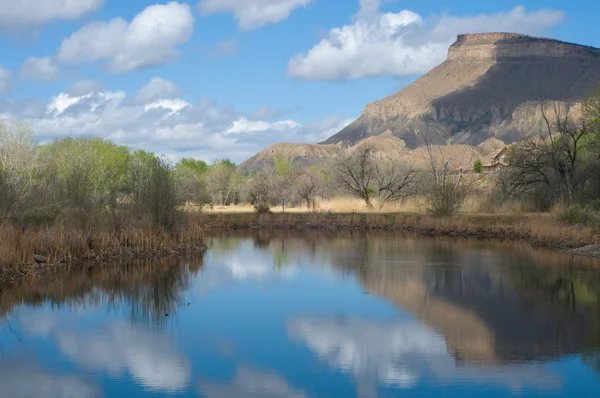 Mt. Garfield spiegelt sich im Teich — Stockfoto
