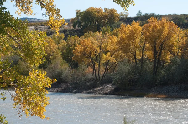 Herfst op de colorado rivier — Stockfoto