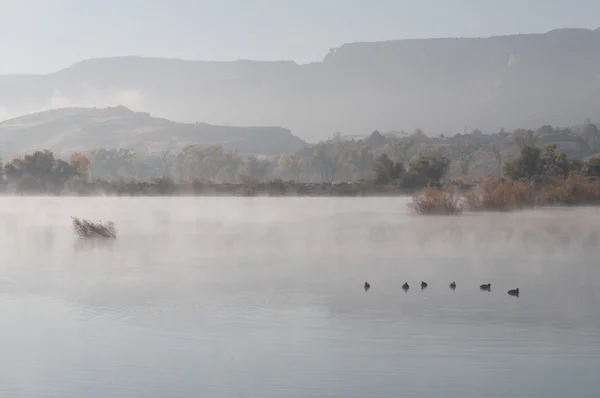 Туманное утро на озере Красные Роки — стоковое фото