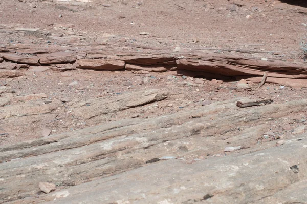 stock image Cross-bedded Sandstone