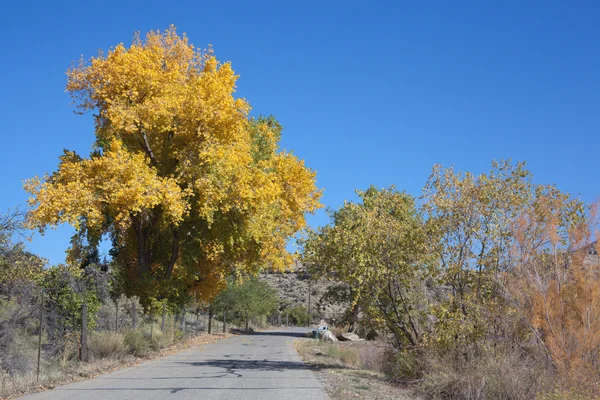 Snelle creek road in de herfst — Stockfoto