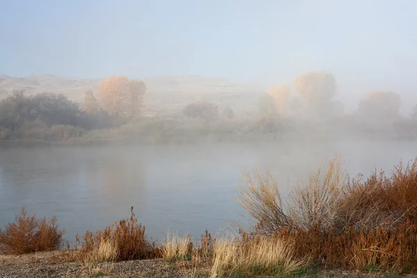 Colorado River near Fruita, Colorado — Stock Photo, Image
