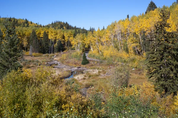Autumn at Mesa Lakes, Colorado — Stock Photo, Image