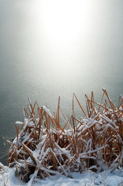 Bevroren vijver winter achtergrond — Stockfoto