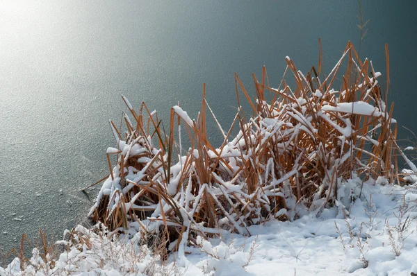 Pond congelado fundo de inverno — Fotografia de Stock
