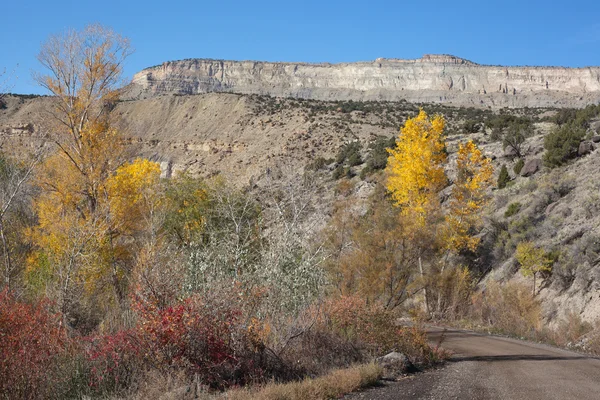 Rapid Creek Road in autunno — Foto Stock