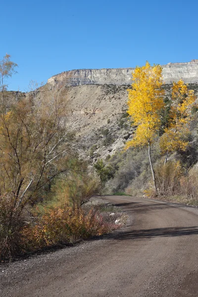 Snelle creek road in de herfst — Stockfoto