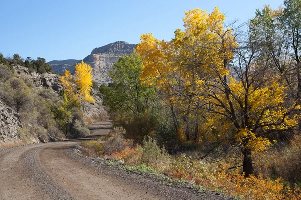 Rapid Creek Road en otoño —  Fotos de Stock